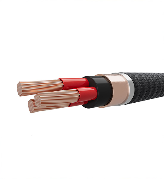 Weyenberg Technical Services ( distributor of a wide range of ...